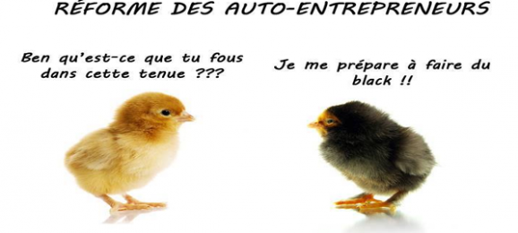 auto entrepreneur poussin black