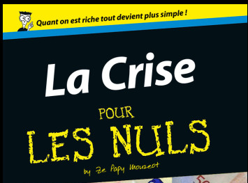 la crise pour les nuls