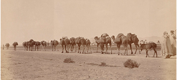 la-caravane-578x260.png