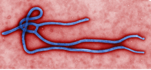 Le premier vaccin chinois contre la fièvre Ebola